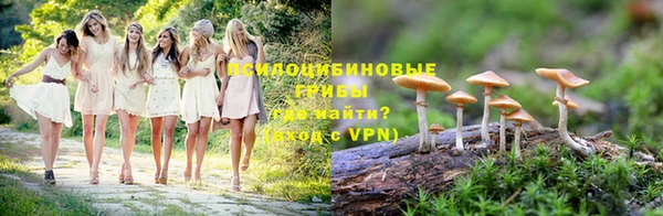 Альфа ПВП Дмитровск
