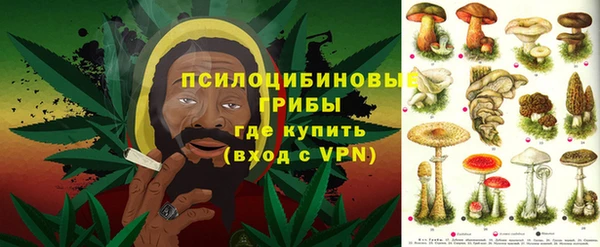 соль курить ск Ивангород