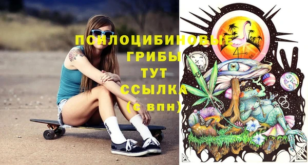 мдма Дмитриев