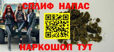 крисы Малгобек