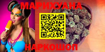 крисы Малгобек
