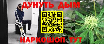 крисы Малгобек