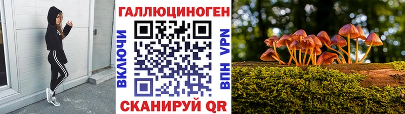 kraken ONION  Слободской  Галлюциногенные грибы Psilocybine cubensis 