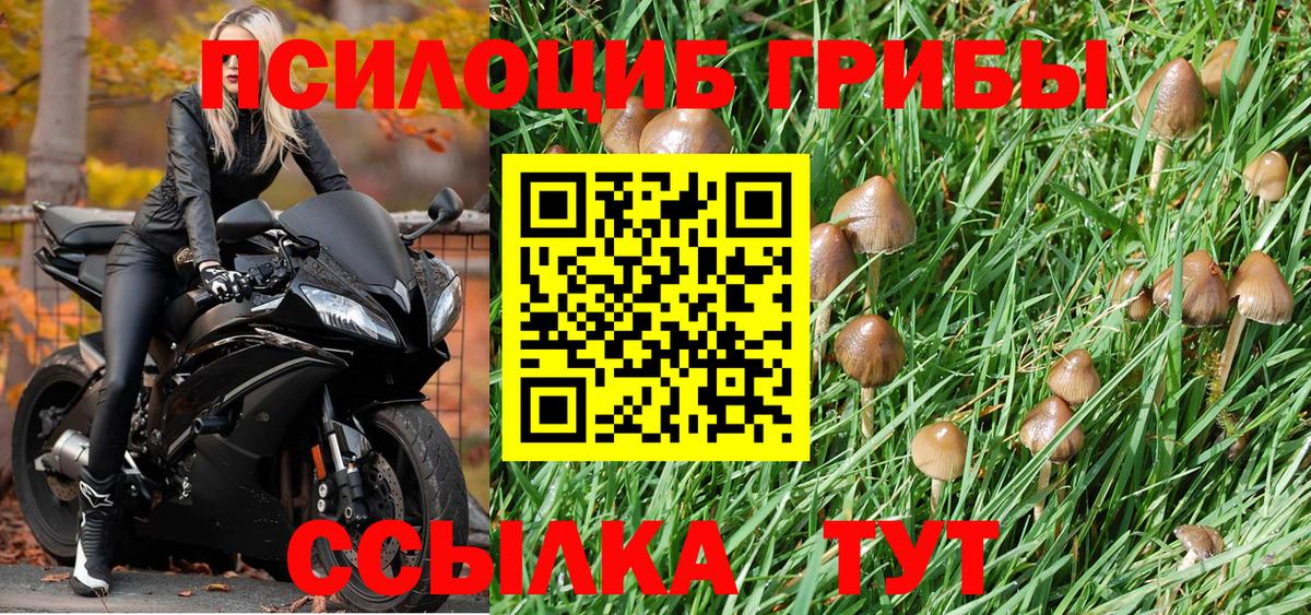 Галлюциногенные грибы прущие грибы  Вход с VPN  Слободской 